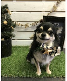 笑うカミュくん | ニット/セーター