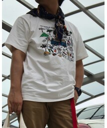 VAN | Tシャツ/カットソー