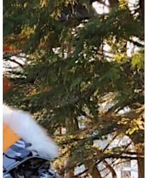 Dior | サングラス