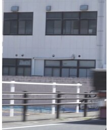 Steven Alan | Tシャツ/カットソー