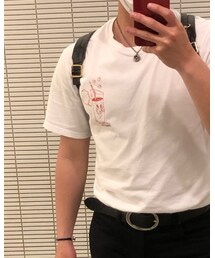 STUSSY | Tシャツ/カットソー