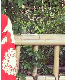 京都 祇園 | その他