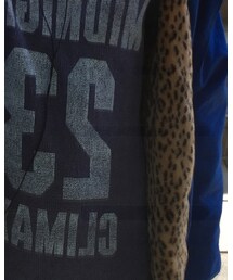 VANDALIZE | ニット/セーター