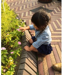 GLOBAL WORK | ギンガムチェックフリルショーツS(パンツ)