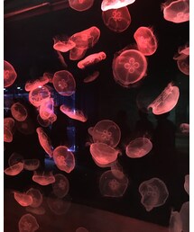 Reebok | スニーカー