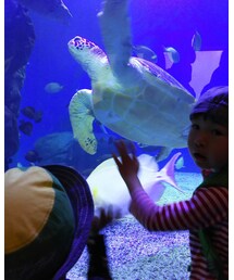 THE NORTH FACE | バックパック/リュック