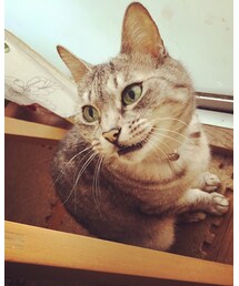 BREEZE | デニムパンツ