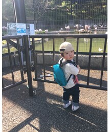 フラミンゴ | 5/5 フラミンゴ(その他)