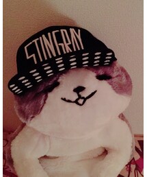 STINGRAY | キャップ