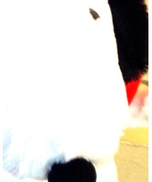 SNOOPY | おもちゃ