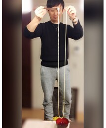 安城市特産・和泉の長うどん | その他