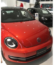 サンタな車 | その他