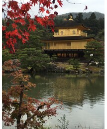 京都の紅葉2 | その他