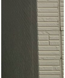 troentorp | シューズ