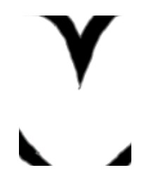 caedu | ジャケット/アウター