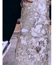 AIR JORDAN | スニーカー