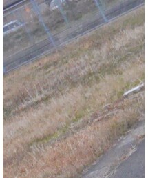 POLO RALPH LAUREN | キャップ