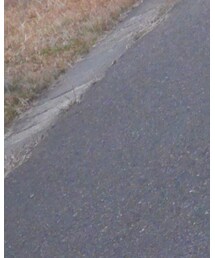 bigmac | カバーオール