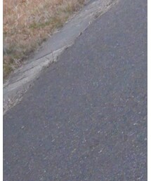 GU | その他パンツ