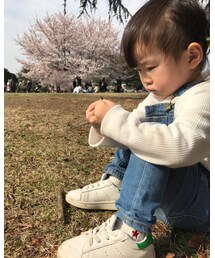 ☆ | 無心に葉っぱをちぎる人(その他)