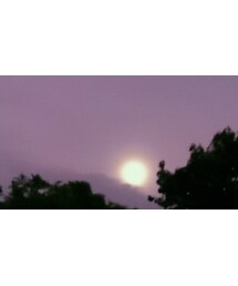 月亮牌 | その他
