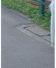 CONVERSE | アクセサリー