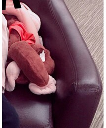 Curious George | その他