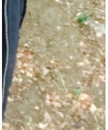 GU | その他パンツ