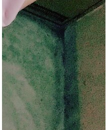 JOURNAL STANDARD relume | Tシャツ/カットソー