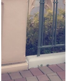 ice cream | スニーカー