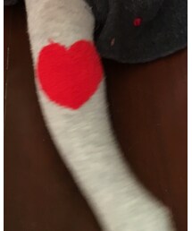 babyGAP | タイツ/ストッキング