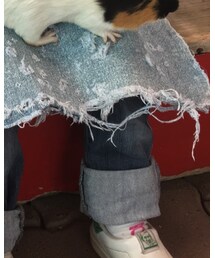 JUNK STORE | デニムパンツ