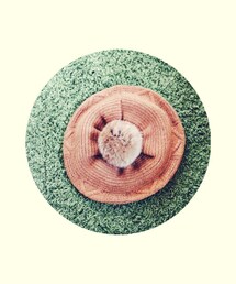 SHISEI | ハンチング/ベレー帽