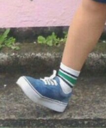 WEGO | ソックス/靴下