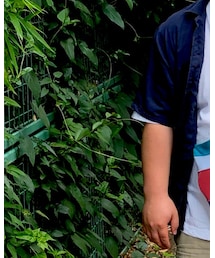 no brand | ボディバッグ/ウエストポーチ