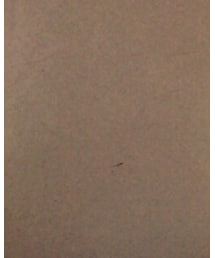 UNIQLO | デニムパンツ