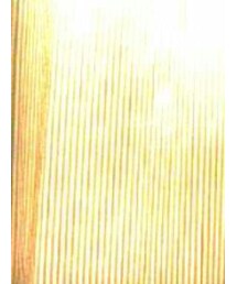 NO | please follow me IG @haringjhonlee TWITTER @ jhon lee amarillo FB @jhon lee amarillo (その他)