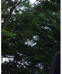 URBAN RESEARCH DOORS | ニット/セーター