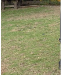 COLE HAAN | その他シューズ