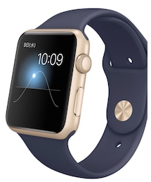 apple | アナログ腕時計