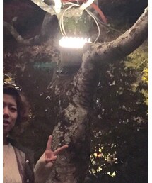 POLICE | サングラス