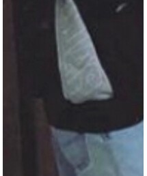 palaceskatebord | パーカー