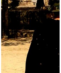 Harley-Davidson | パーカー