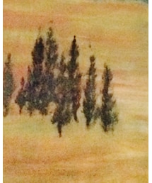 cotton on | Tシャツ/カットソー