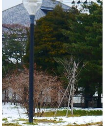 patagonia | ダウンジャケット/コート