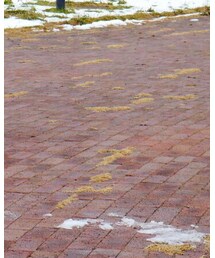 RESOLUTE | デニムパンツ