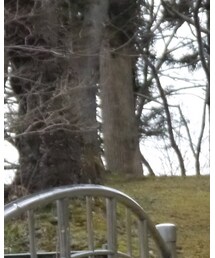 Rocky Mountain FeatherBed | ジャケット/アウター