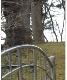 PENDLETON | ジャケット/アウター