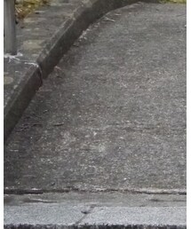 BIRKENSTOCK | シューズ