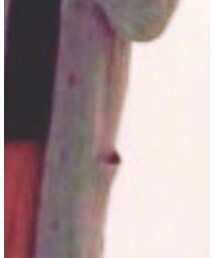 しまむら | その他アウター